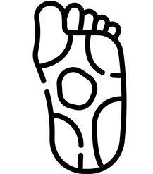 Sobha Infinia Elevation